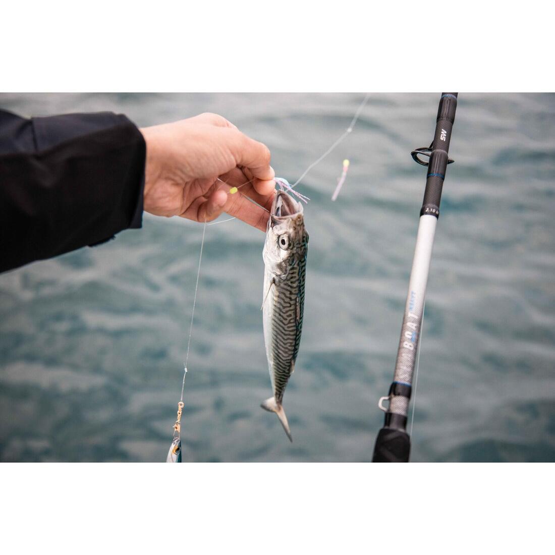 IMG_8561420_12