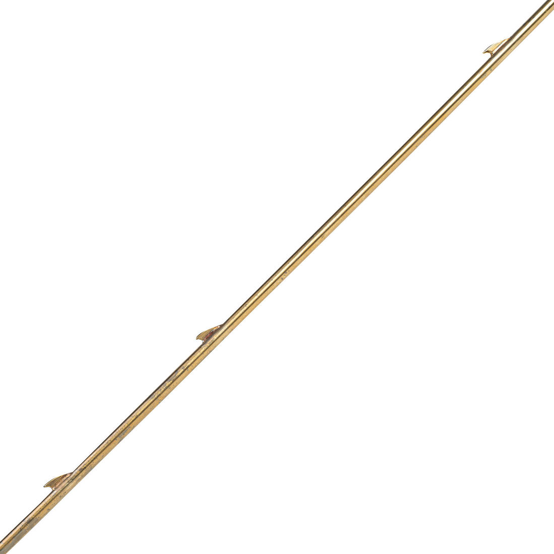 IMG_8589469_2