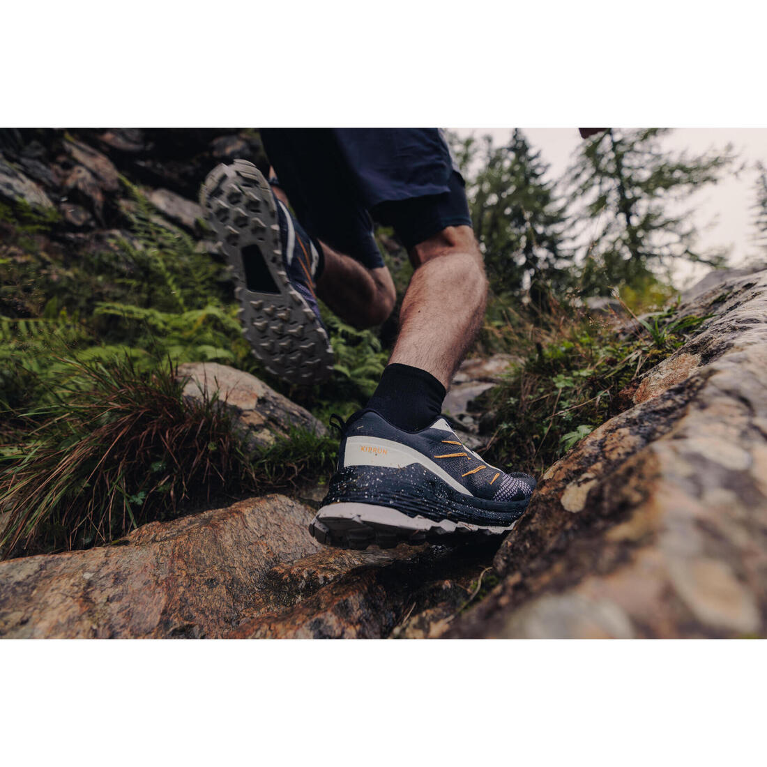 IMG_8828396_14