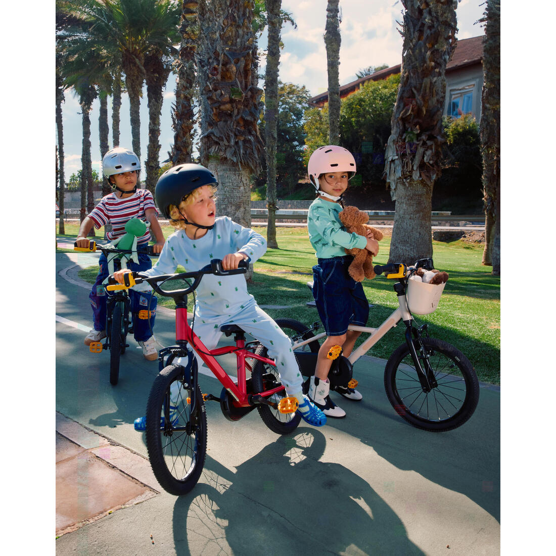 IMG_8911068_16