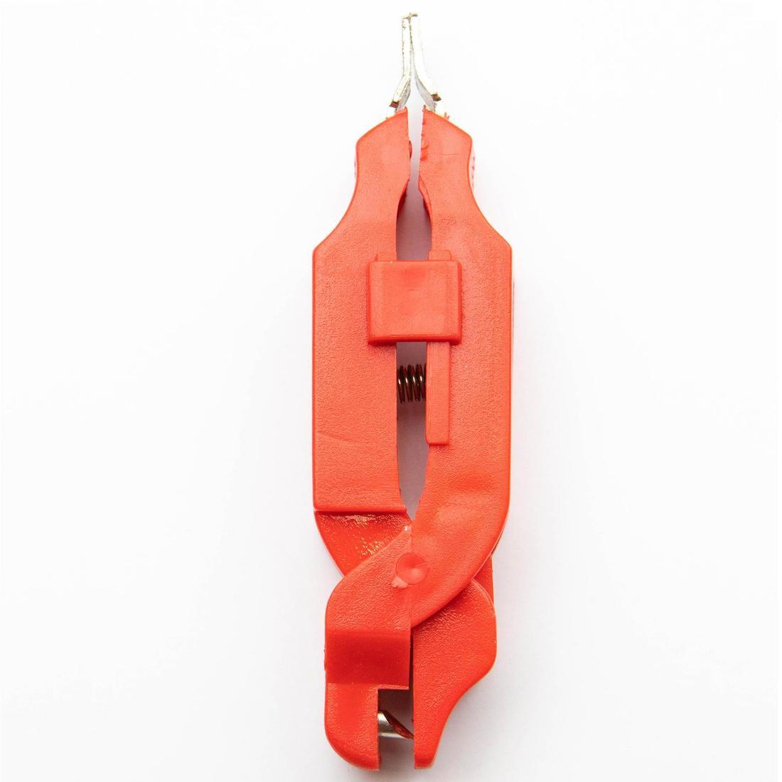 IMG_8130243_2
