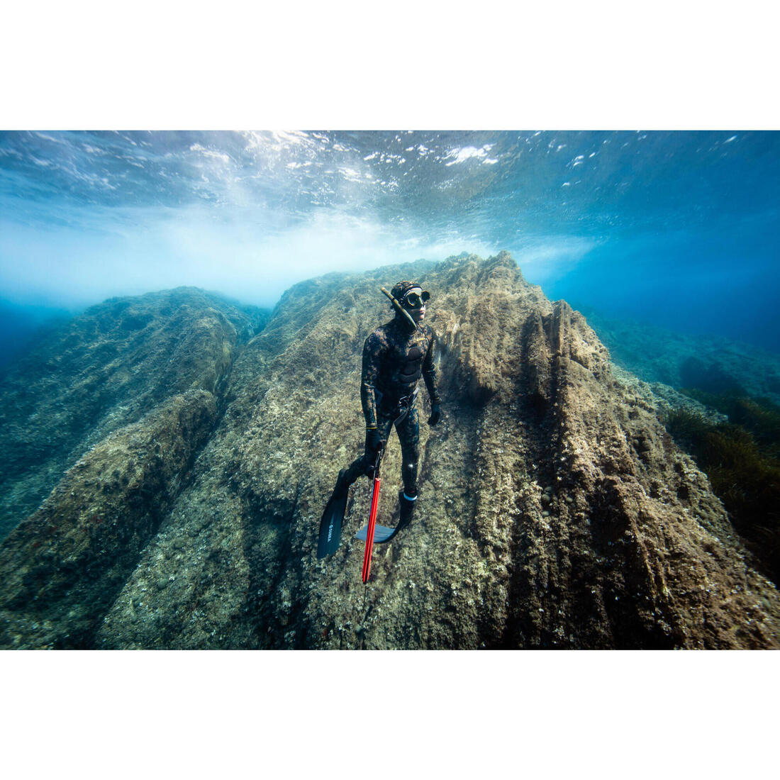 IMG_2229186