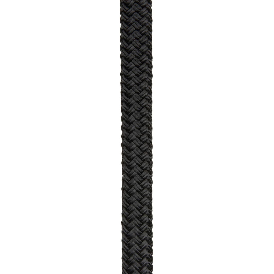 IMG_8484159_2