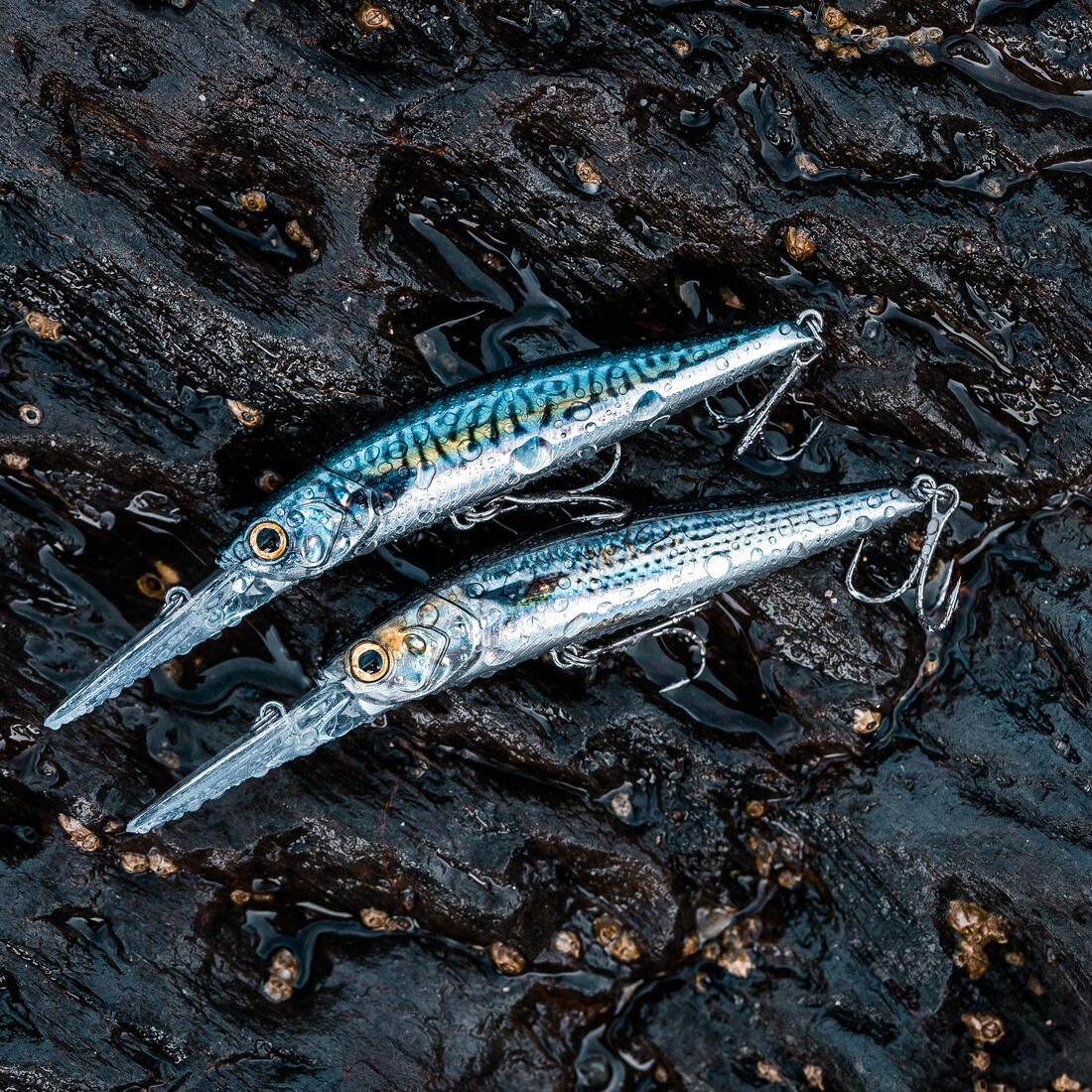 IMG_8739970_8