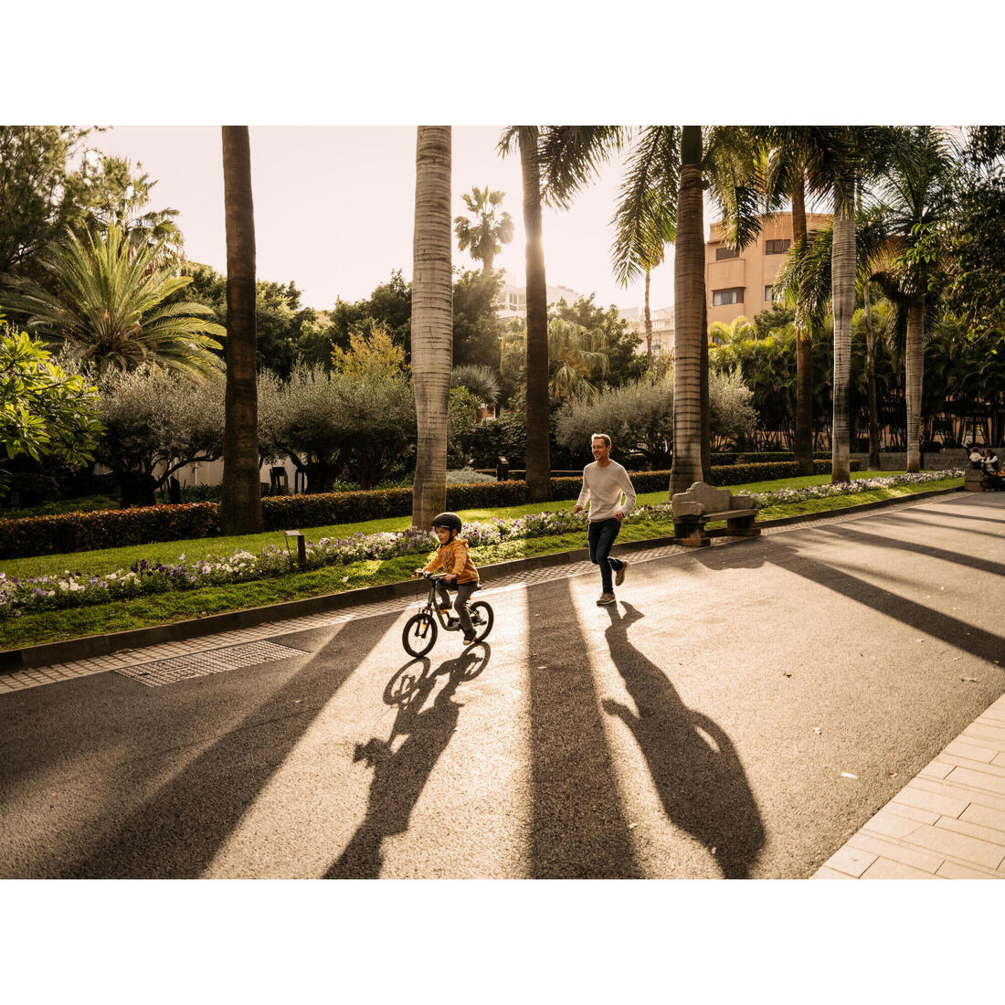 IMG_8646323_17