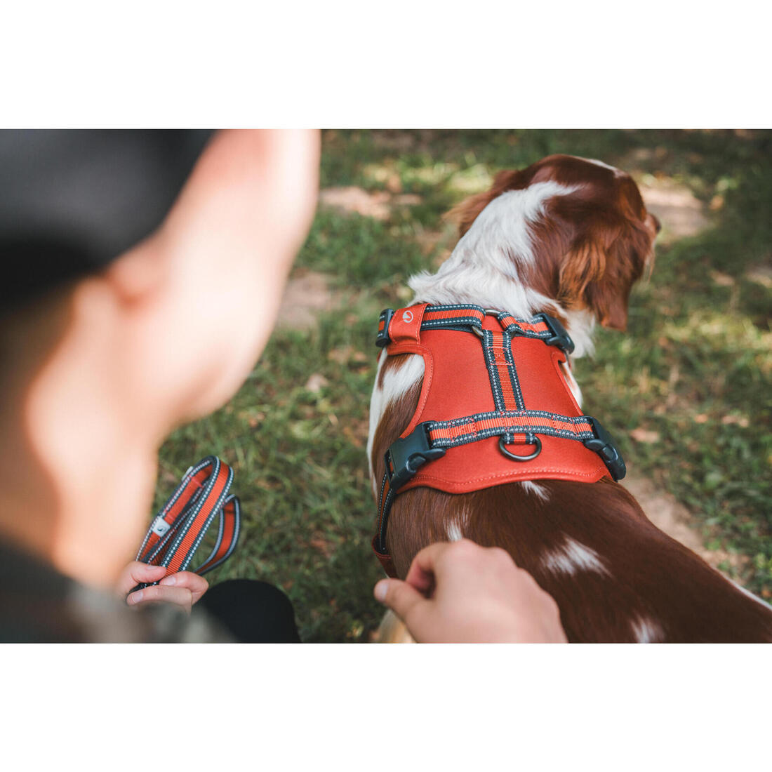 IMG_2777841