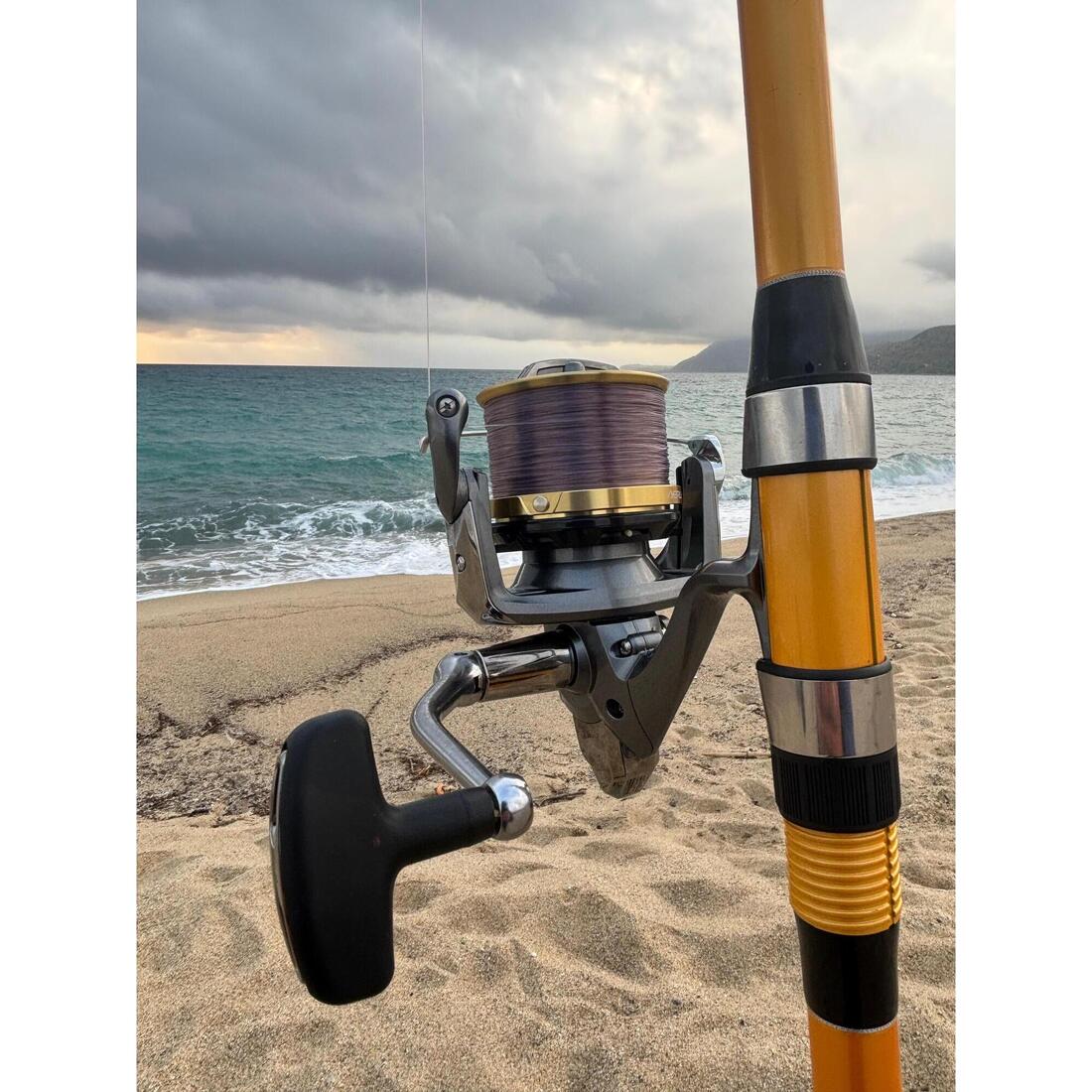 IMG_9016787_8