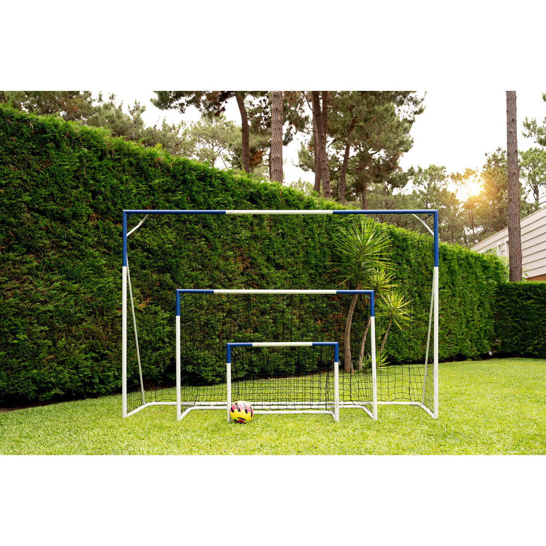 IMG_2769164