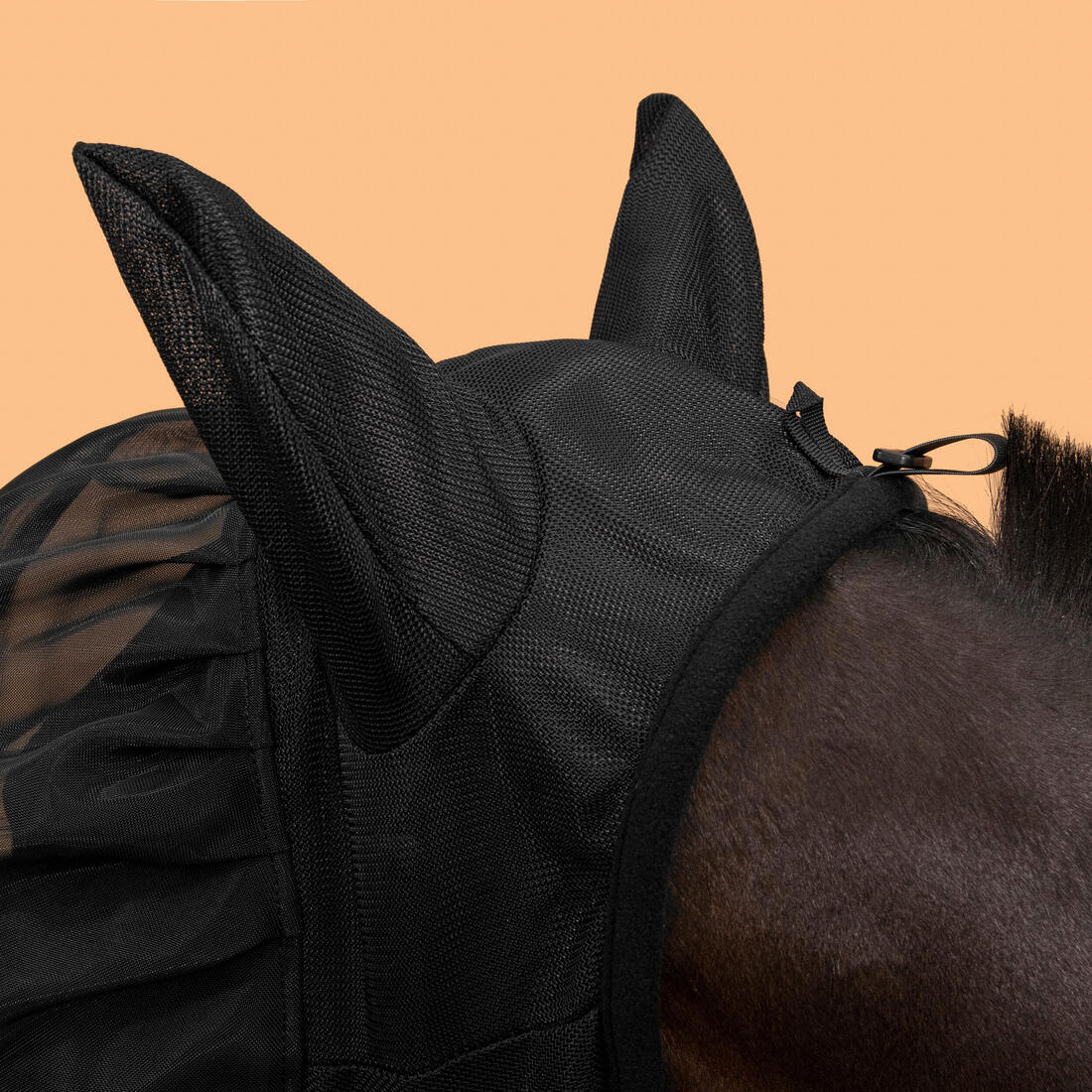 IMG_8785577_2