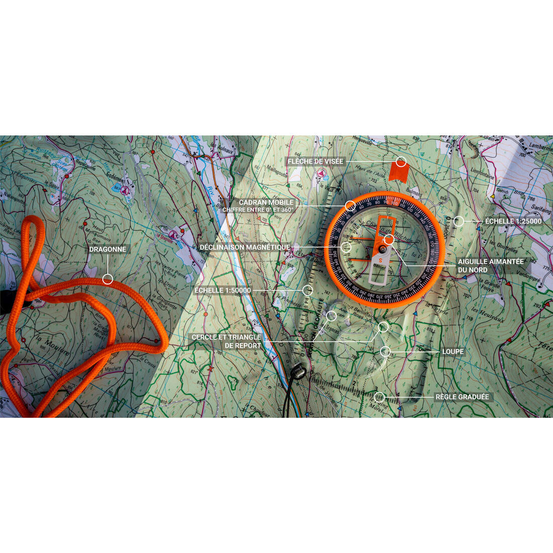 IMG_1875512