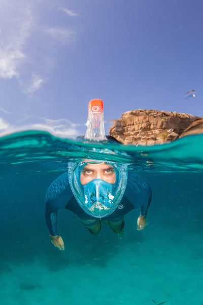 Generic Masque snorkel de Plongée Antibrouillard Plein Visage pour Adulte  Taille L/XL à prix pas cher