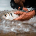 IMG_8736057_15