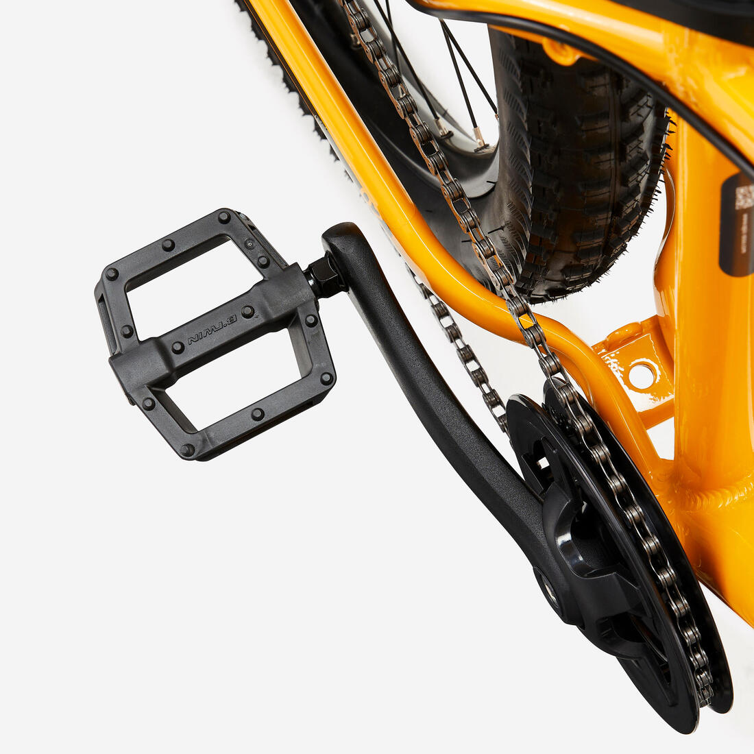 IMG_8615564_9