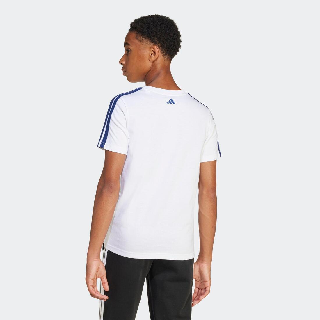 IMG_8941575_4