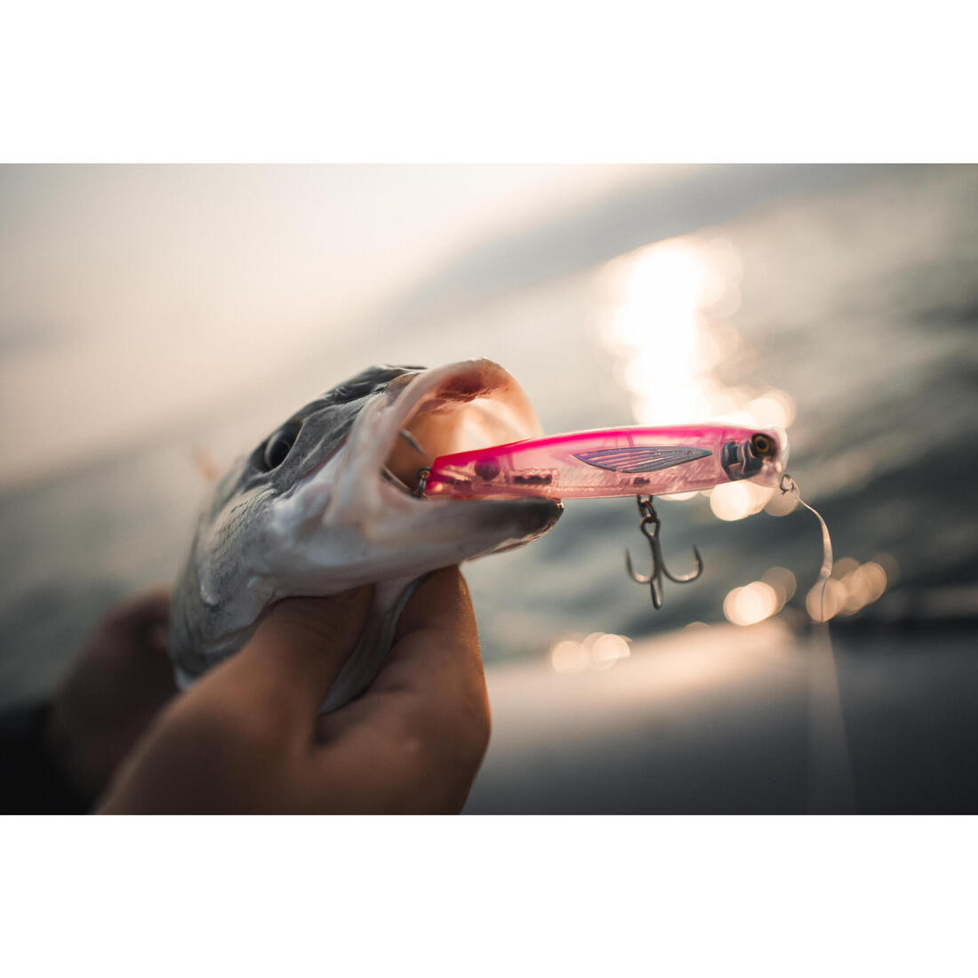 IMG_8928356_7