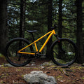 IMG_2806421