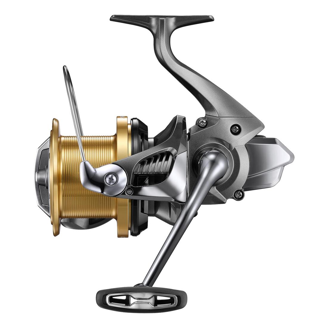 IMG_9016787_1