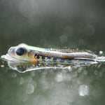 Product thumbnail 6 of 8
