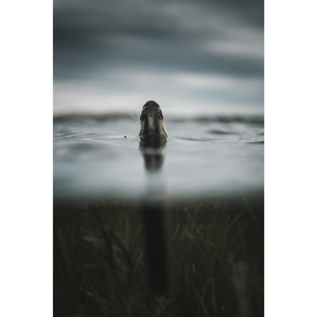 IMG_8641833_7