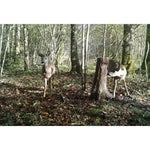 Product thumbnail 9 of 9