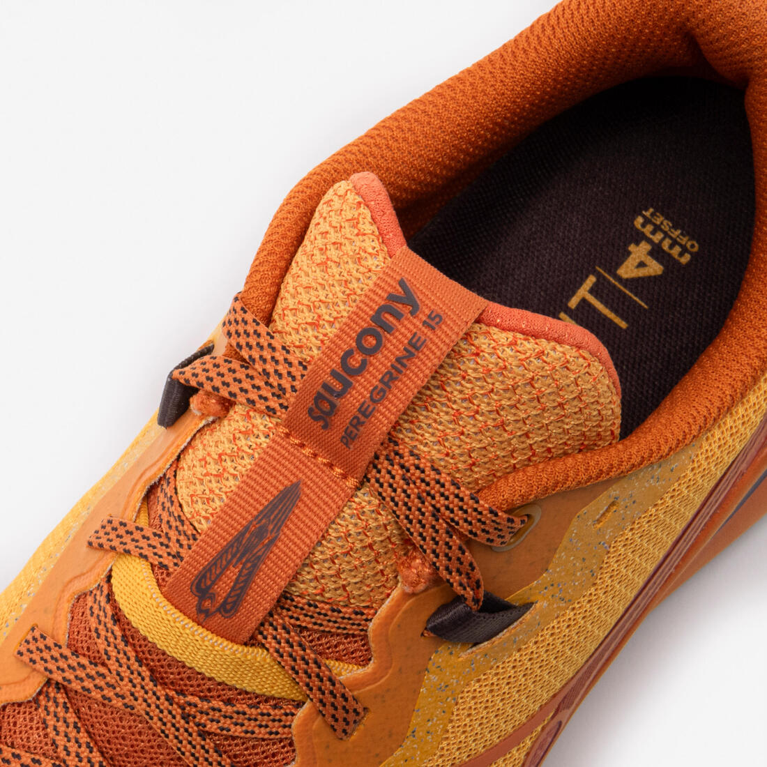 IMG_2954297