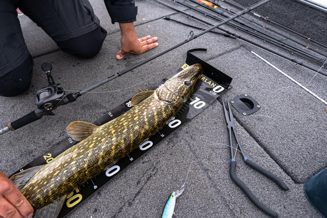 IMG_8607182_8