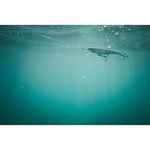 Product thumbnail 8 of 11