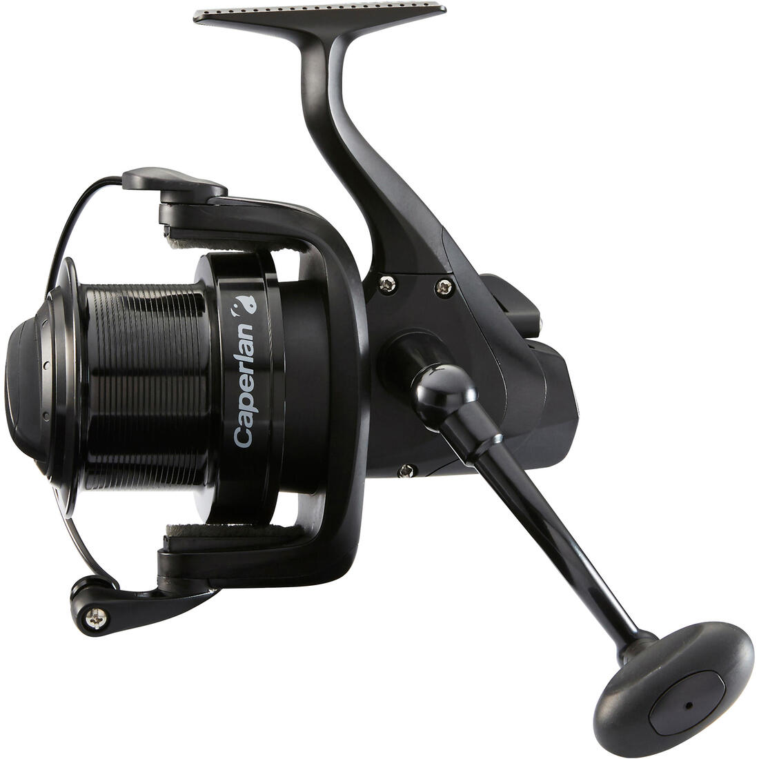 IMG_8495479_2