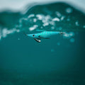 IMG_2658251