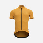jaune ocre