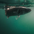 IMG_8804214_13
