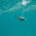 IMG_2658202