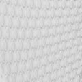 IMG_1755305