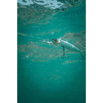 Product thumbnail 8 of 8