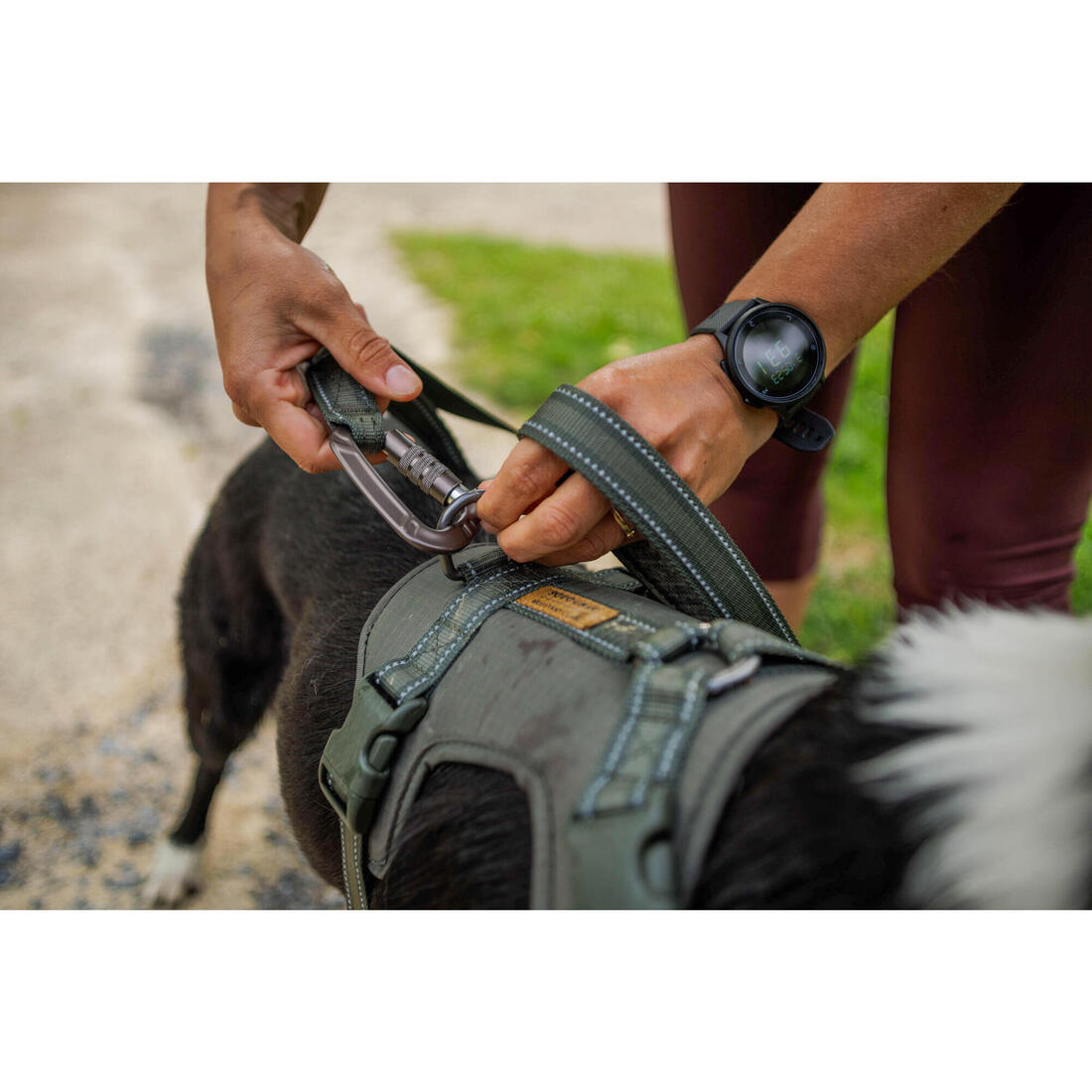 IMG_2552032
