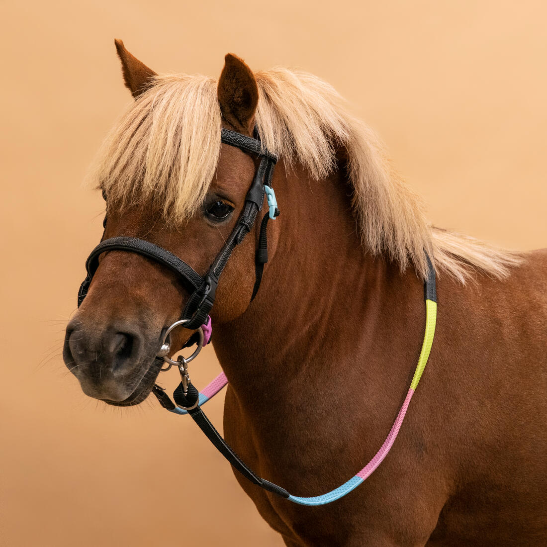 IMG_8395005_2