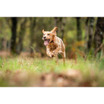 Product thumbnail 3 of 5