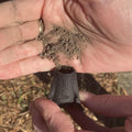 IMG_2300465