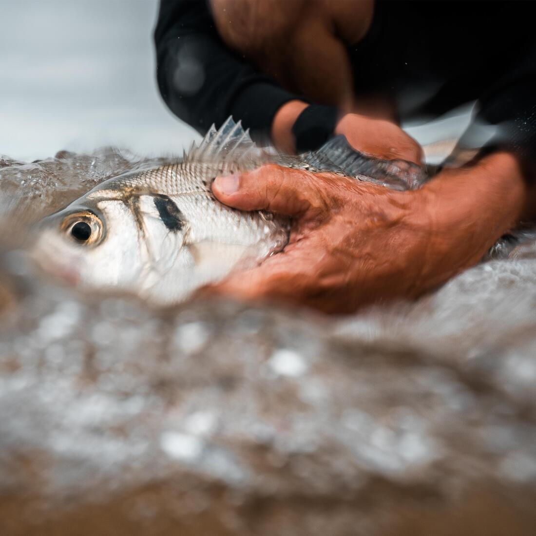 IMG_2643696
