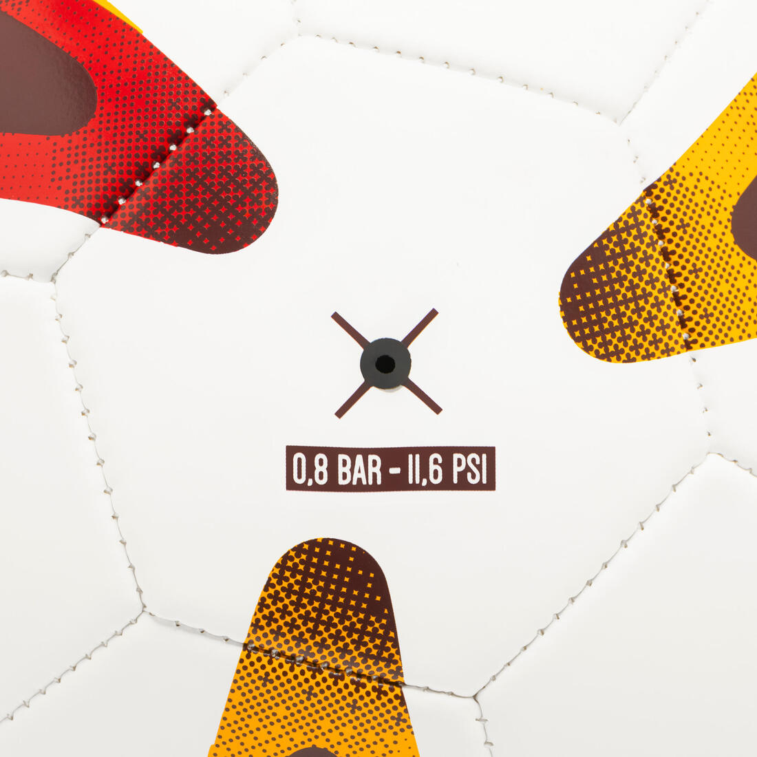 IMG_3113724