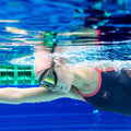 IMG_8981381_2