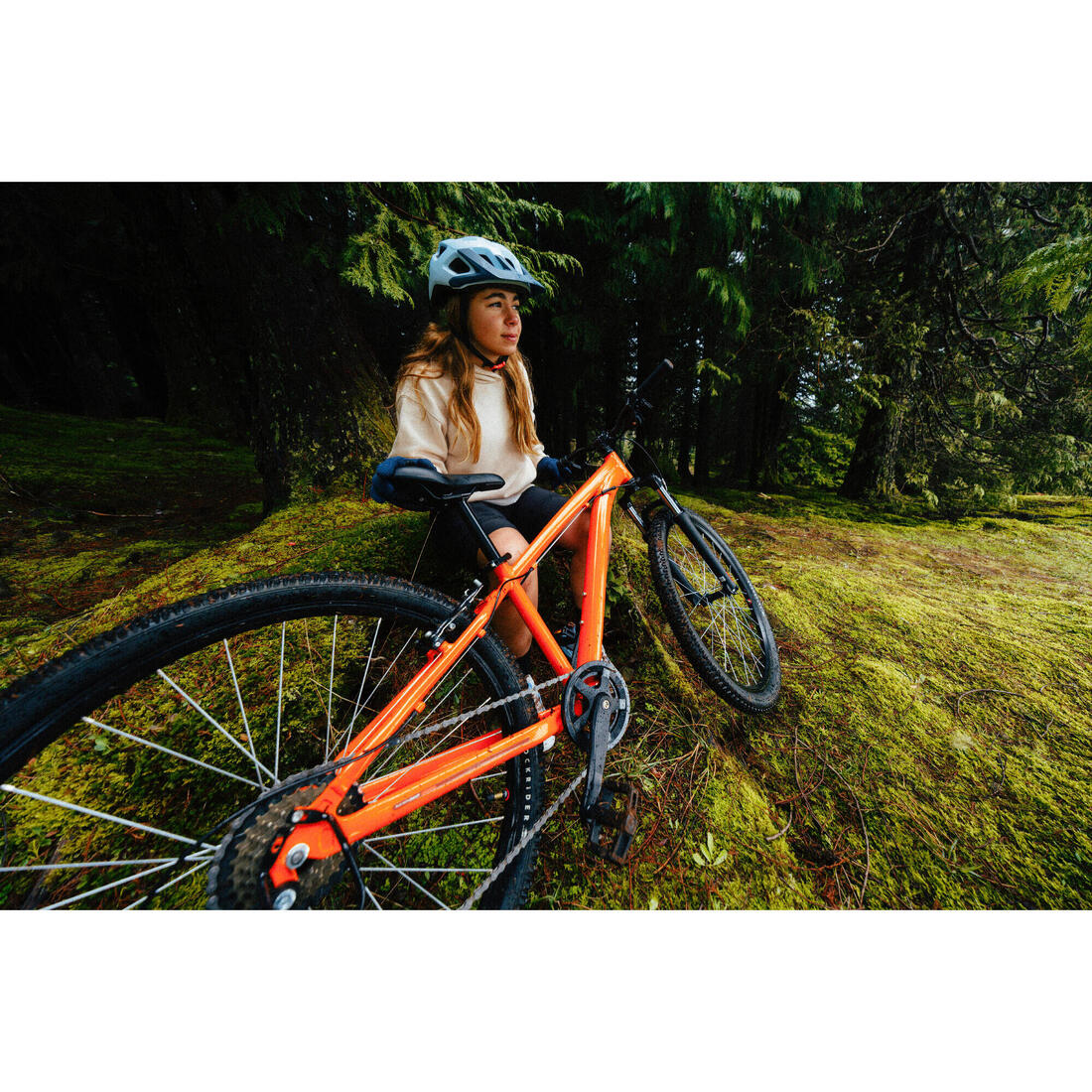 IMG_8774233_3