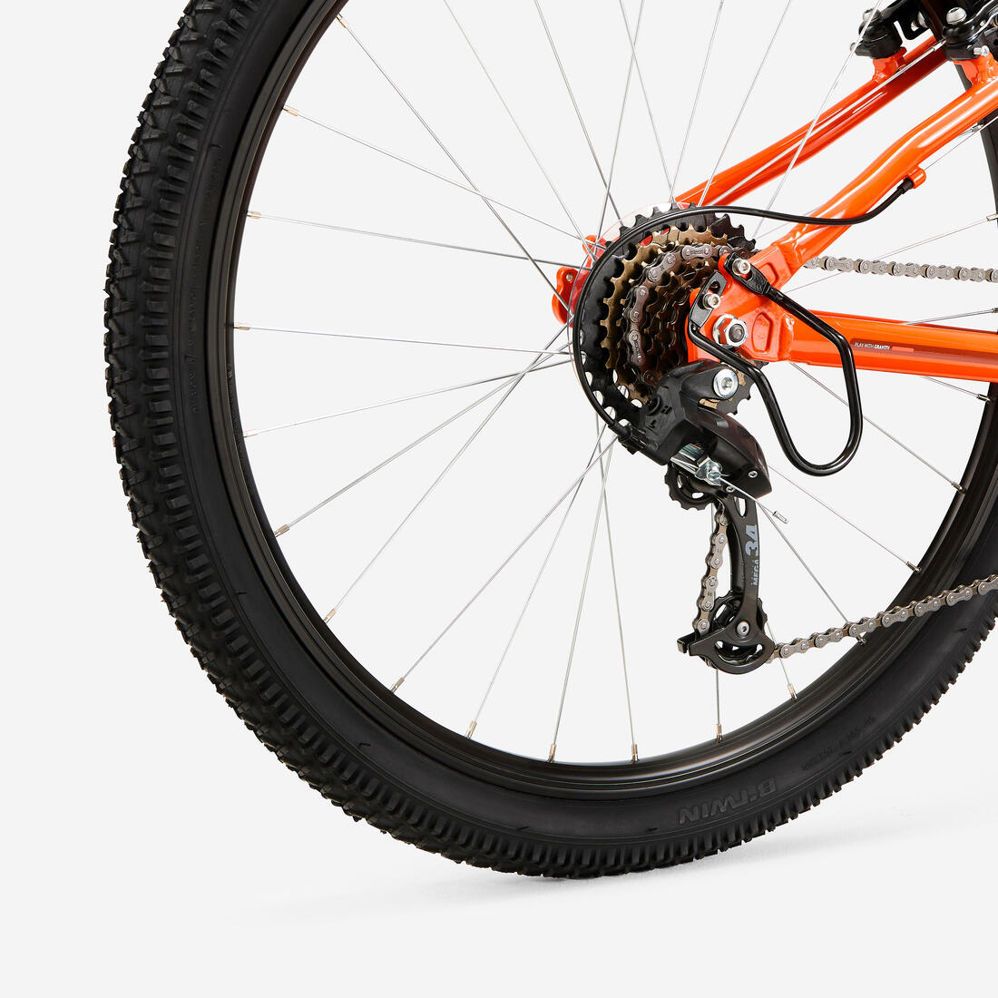 IMG_8774233_8