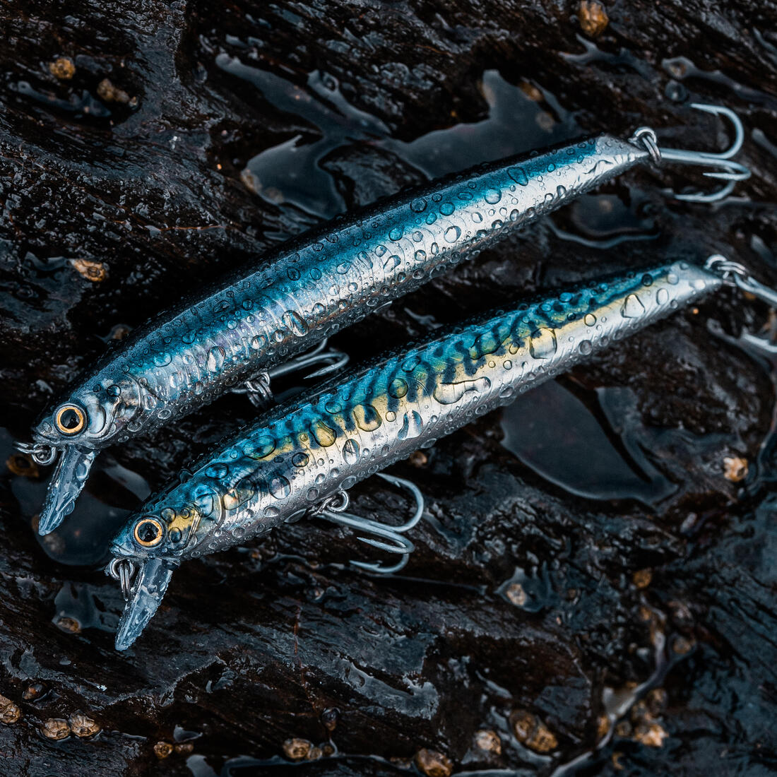 IMG_2225201
