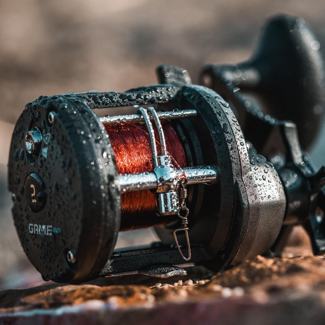 IMG_8649190_2