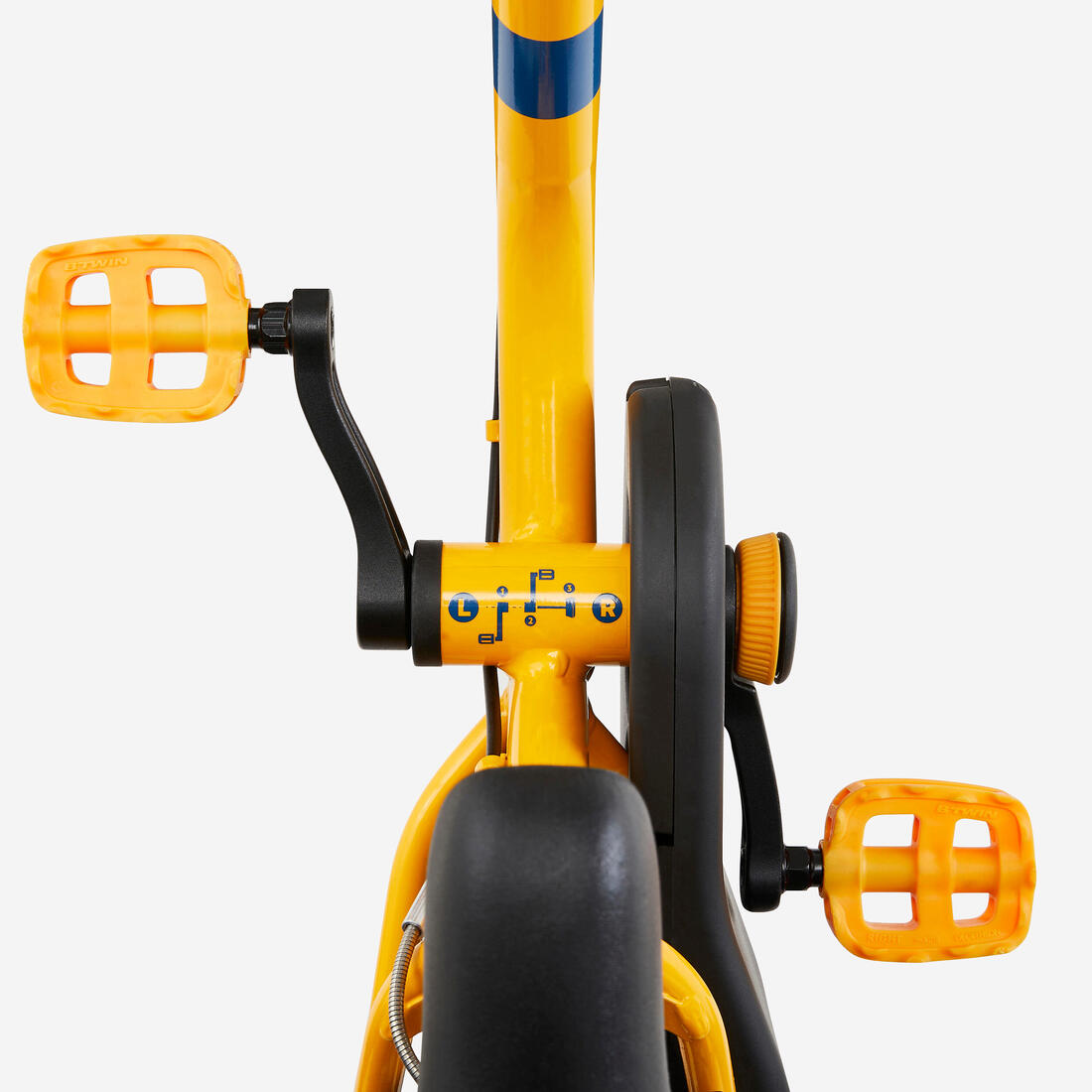 IMG_8646306_6