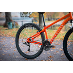 Product thumbnail 10 of 13
