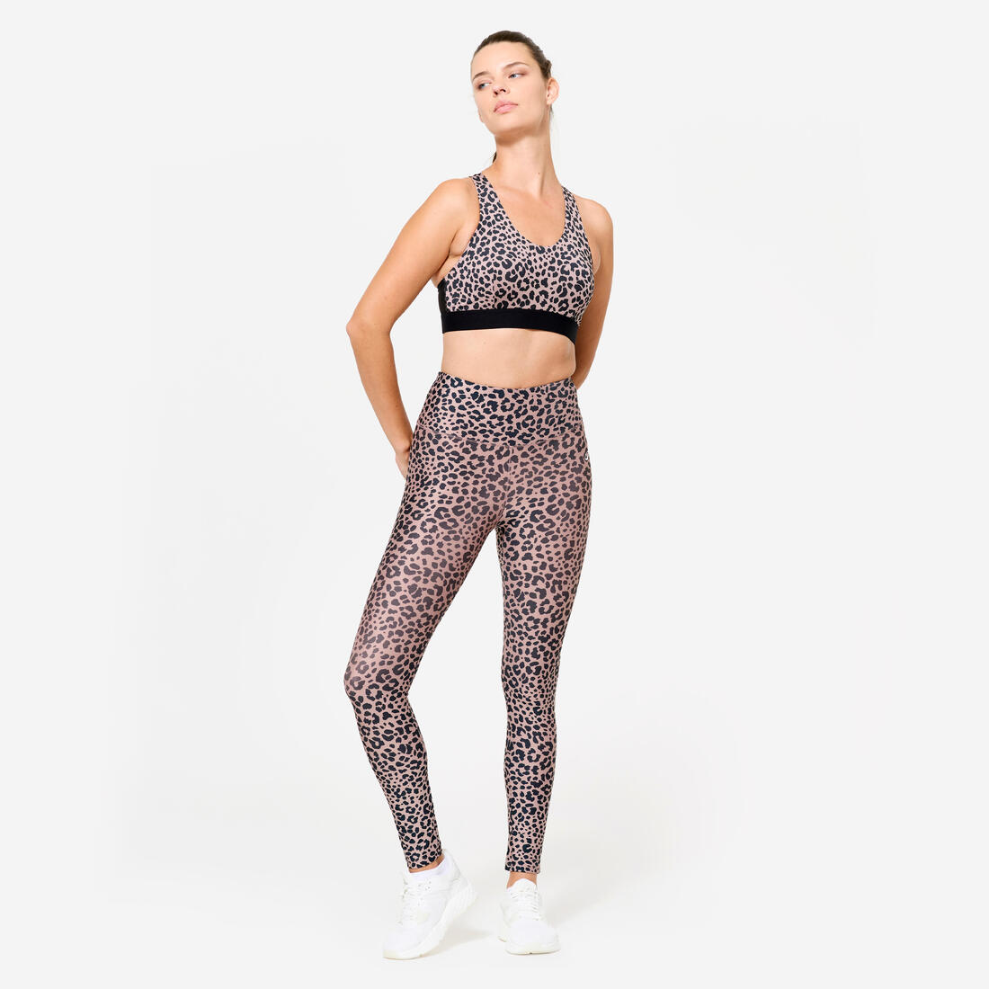 IMG_8913560_2