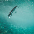 IMG_2658186