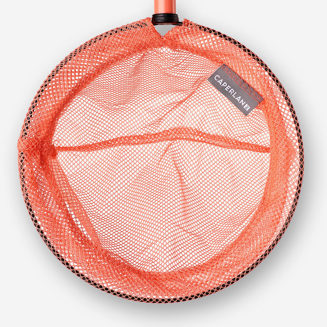 IMG_8641165_3